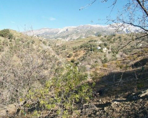 Finca - Cortijo Canillas de Aceituno Málaga - imagen 7