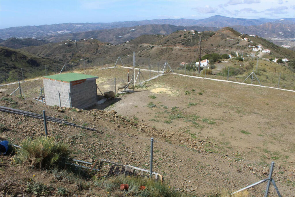 Finca - Cortijo Canillas de Aceituno Málaga - imagen 7