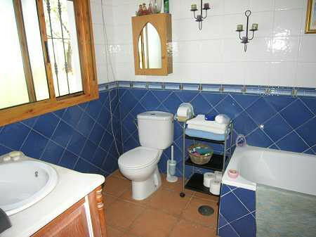 Finca - Cortijo Sedella Málaga - zdjęcie 8