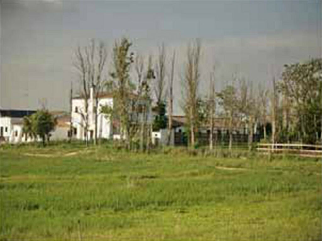 Finca - Cortijo Jerez de la Frontera Cádiz - imagen 8