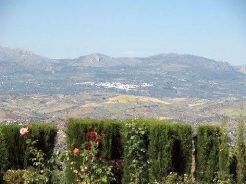 Detached Villa Comares Málaga - imagen 8