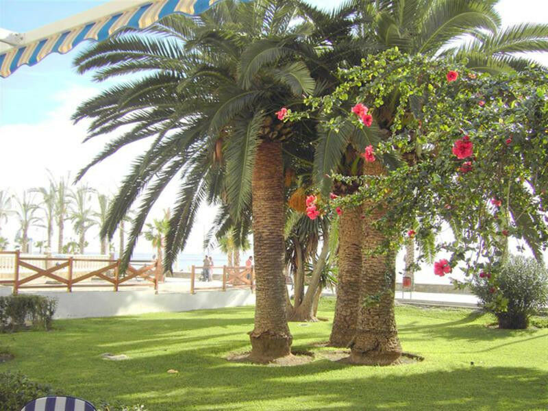Middle Floor Apartment Algarrobo Málaga - Bild 8