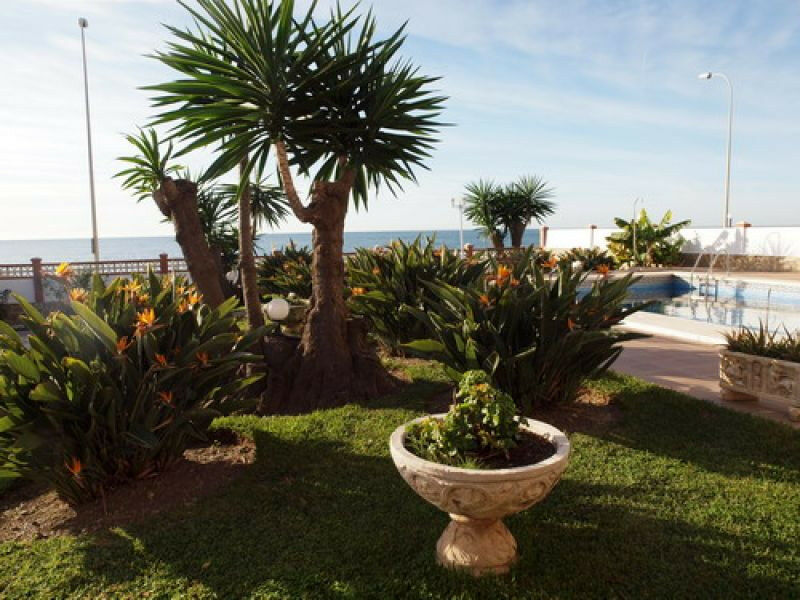 Detached Villa Benajarafe Málaga - imagen 8