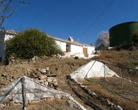 Finca - Cortijo Canillas de Aceituno Málaga - imagen 8