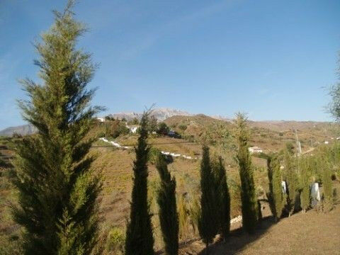 Detached Villa Canillas de Aceituno Málaga - imagen 9
