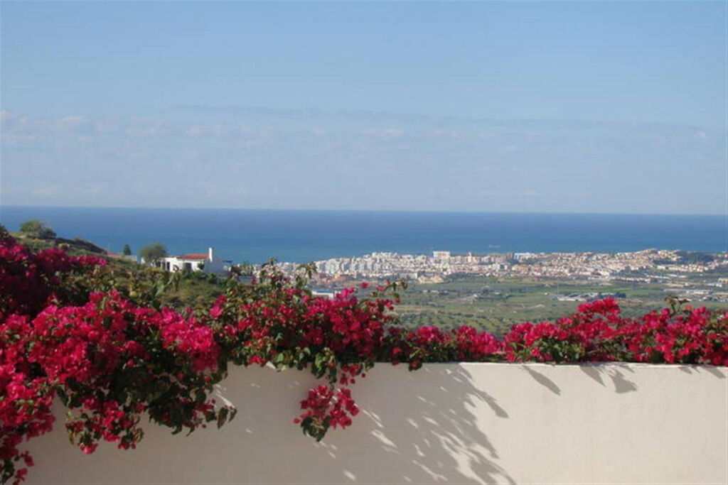 Detached Villa Arenas Málaga - imagen 9