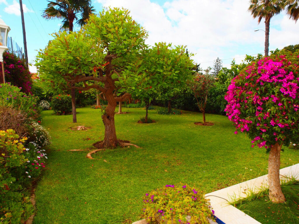 Detached Villa Benajarafe Málaga - imagen 9