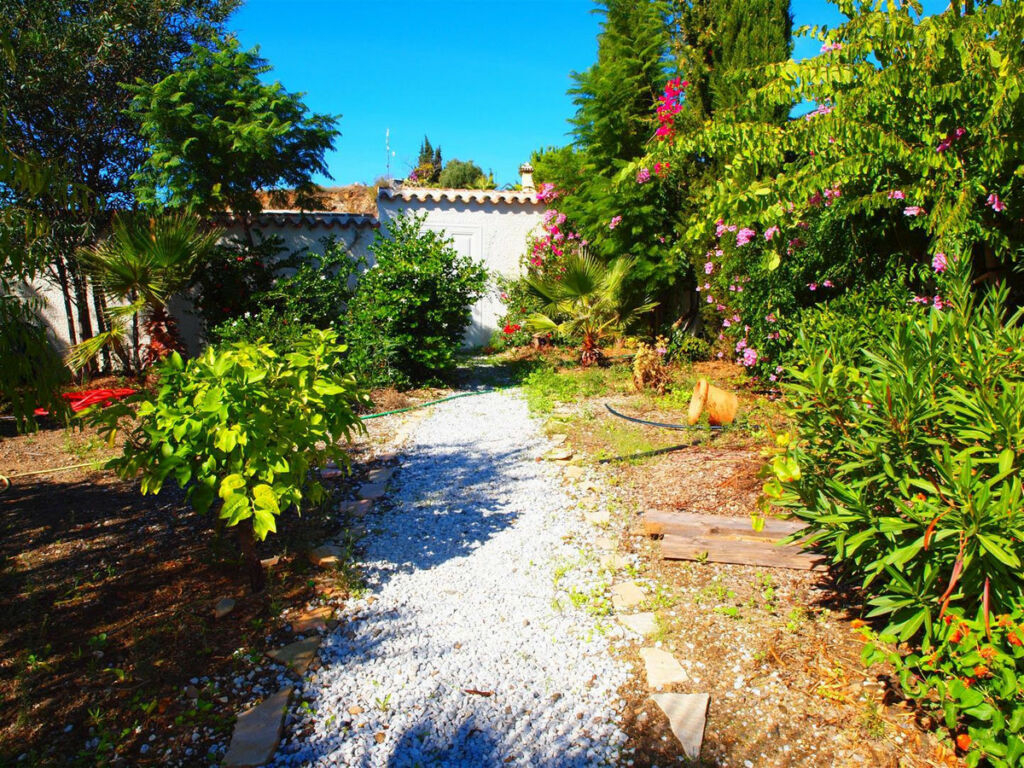 Finca - Cortijo Algarrobo Málaga - imagen 9