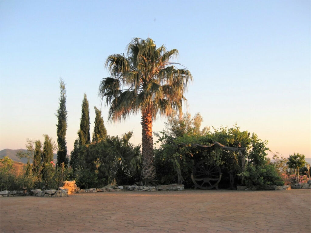 Detached Villa Canillas de Aceituno Málaga - Bild 9