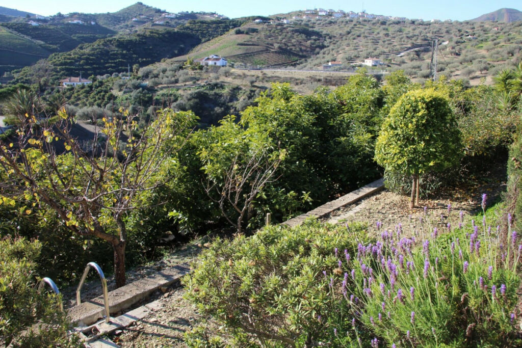 Detached Villa La Viñuela Málaga - imagen 9