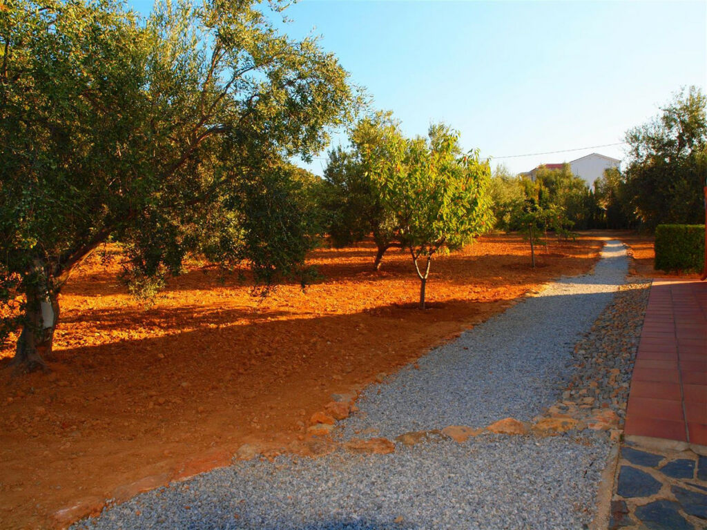 Finca - Cortijo Alcaucín Málaga - imagen 9