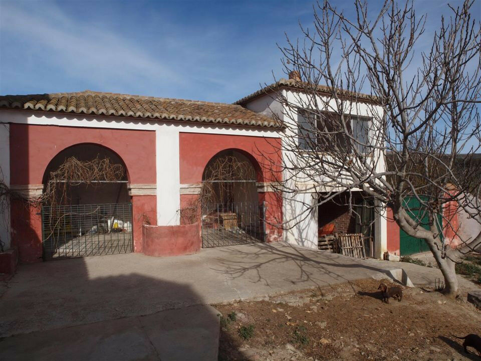 Finca - Cortijo Alcaucín Málaga - imagen 9