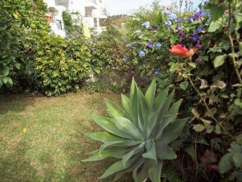 Semi-Detached House Rincón de la Victoria Málaga - imagen 9