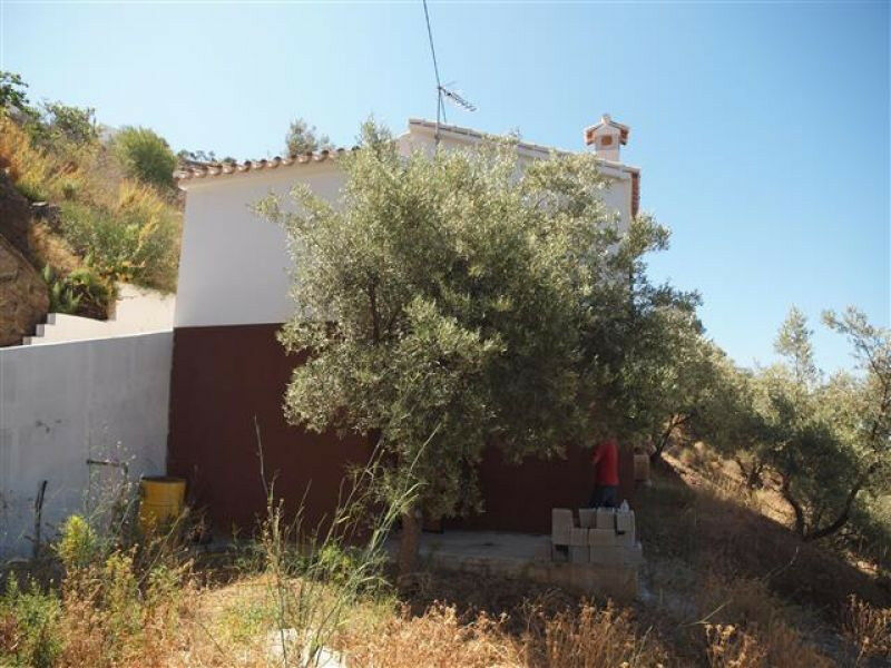 Finca - Cortijo Algarrobo Málaga - imagen 9