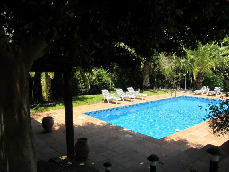 Finca - Cortijo Cómpeta Málaga - imagen 9