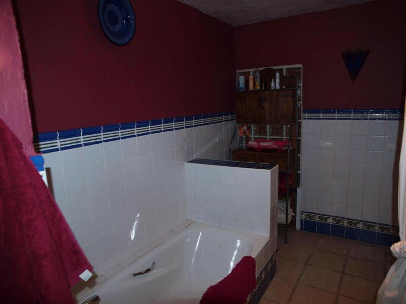 Finca - Cortijo Canillas de Aceituno Málaga - imagen 9