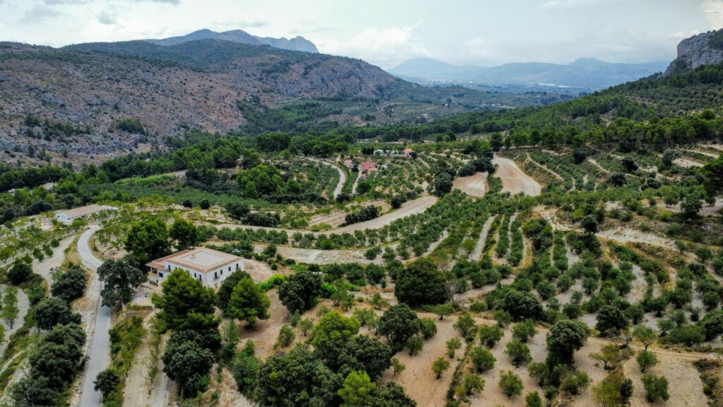 Finca - Cortijo Muro de Alcoy Alicante - imagen 10