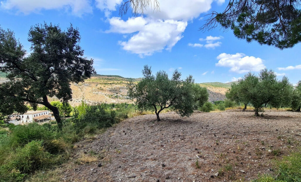 Finca - Cortijo Muro de Alcoy Alicante - imagen 13