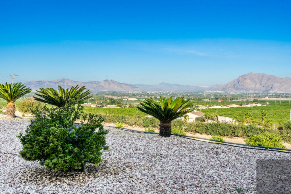 Detached Villa Benejuzar Alicante - imagen 14