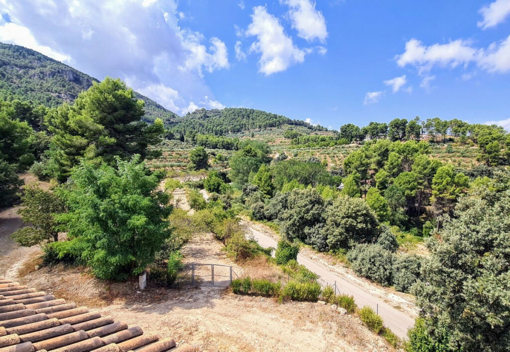 Finca - Cortijo Muro de Alcoy Alicante - imagen 16