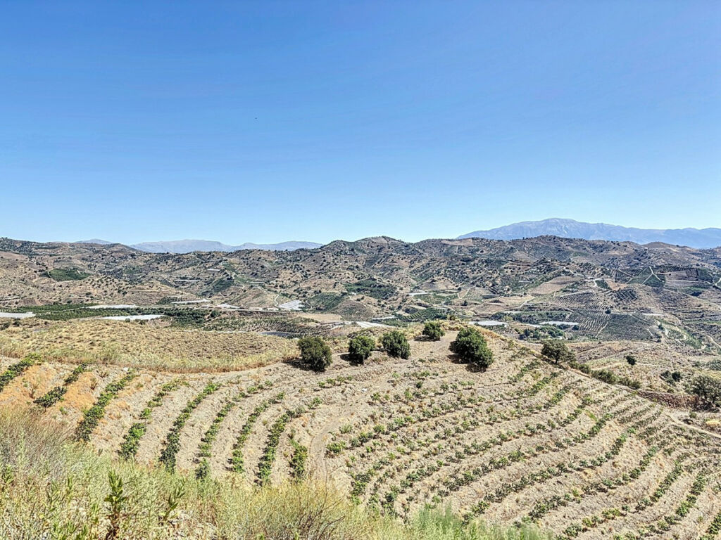 Land Cajiz Málaga - imagen 17