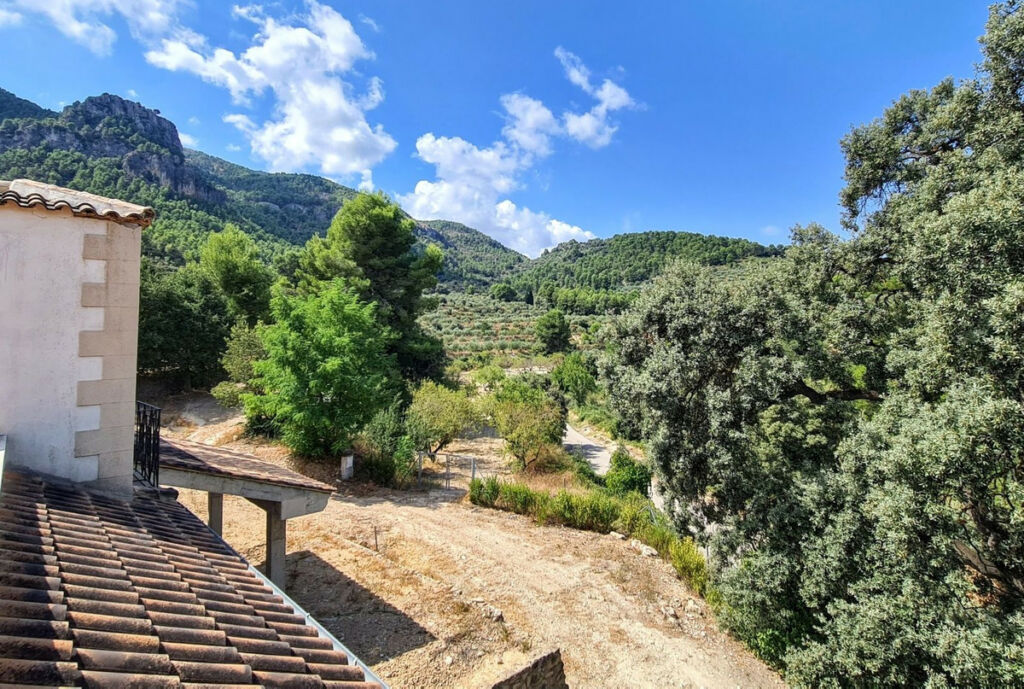 Finca - Cortijo Muro de Alcoy Alicante - imagen 17