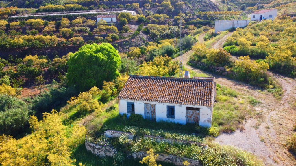Finca - Cortijo Algarrobo Málaga - imagen 2