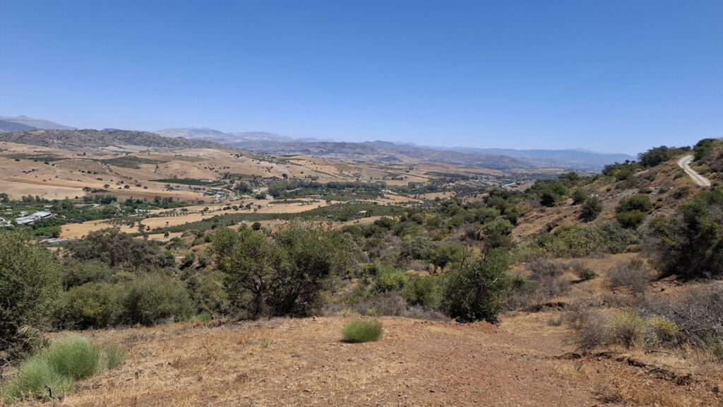 Land Coín Málaga - imagen 2