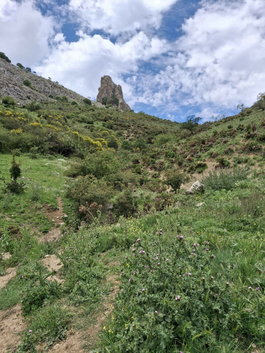 Land Alfarnatejo Málaga - Bild 18