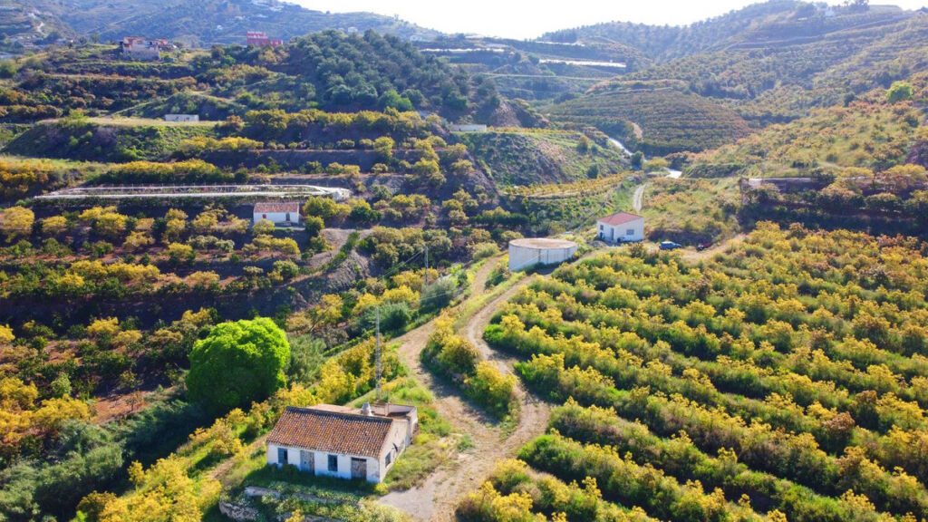 Finca - Cortijo Algarrobo Málaga - imagen 20