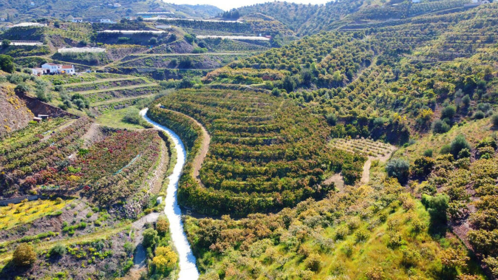 Finca - Cortijo Algarrobo Málaga - imagen 21