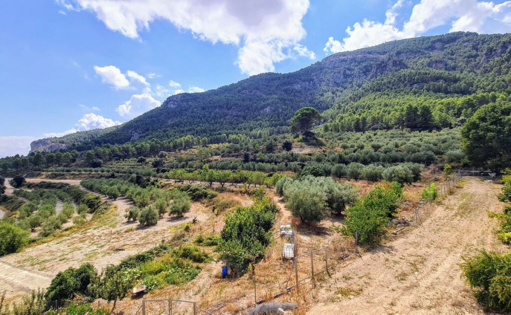 Finca - Cortijo Muro de Alcoy Alicante - imagen 22