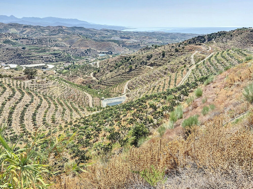 Land Cajiz Málaga - imagen 29