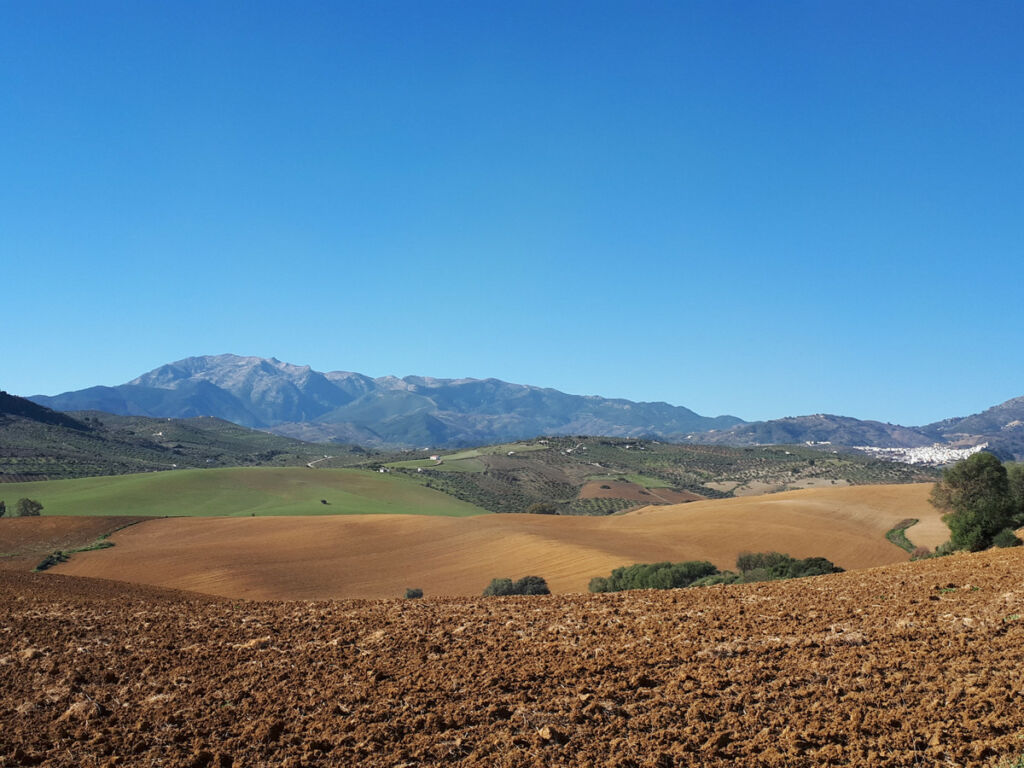 Land Coín Málaga - imagen 3