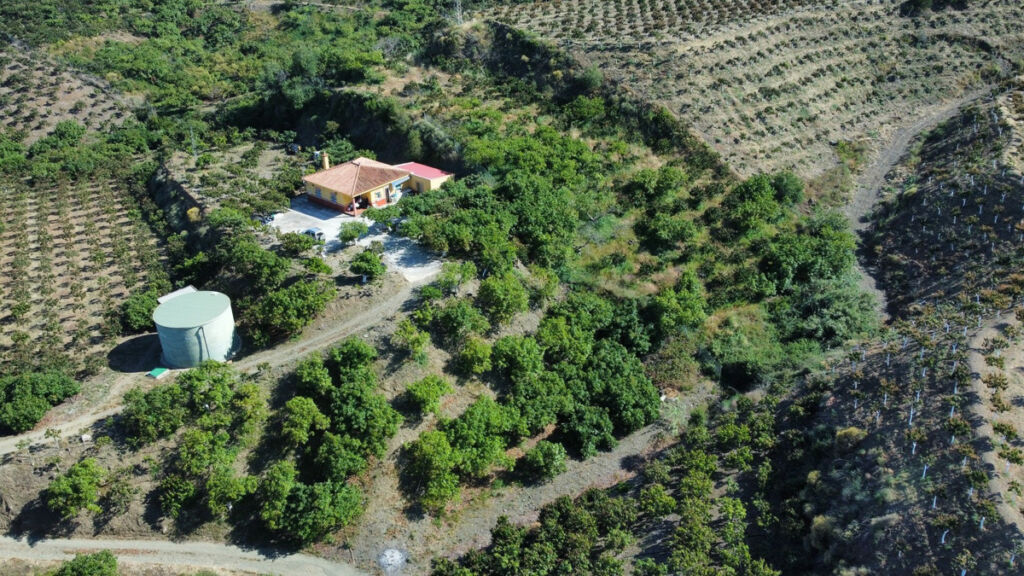 Detached Villa Vélez-Málaga Málaga - imagen 32