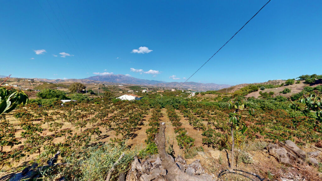 Detached Villa Vélez-Málaga Málaga - imagen 4