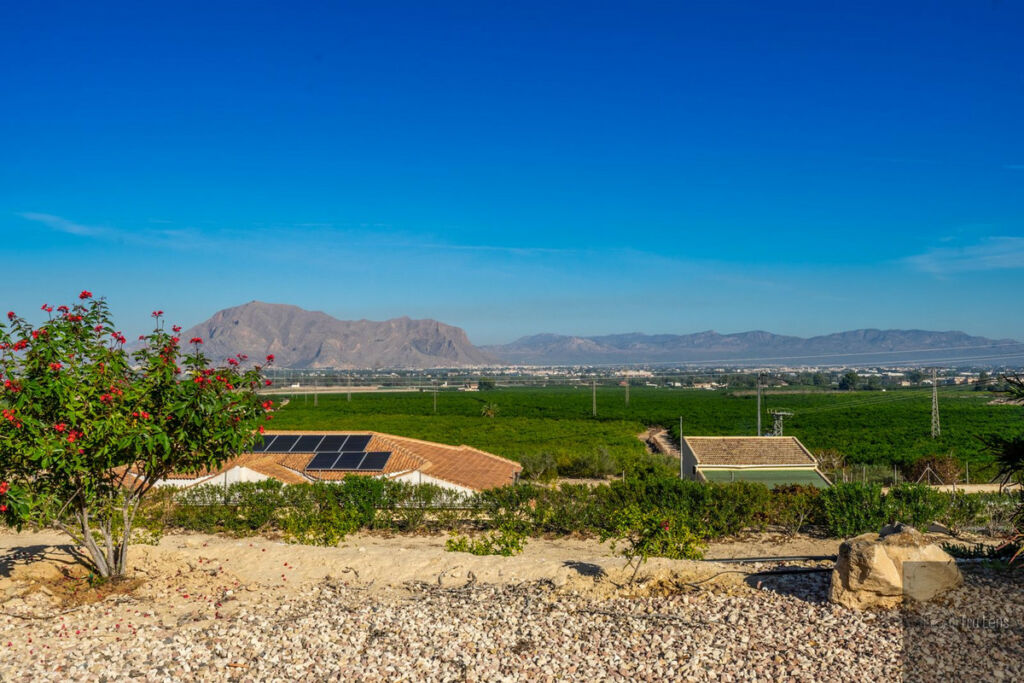 Detached Villa Benejuzar Alicante - imagen 44