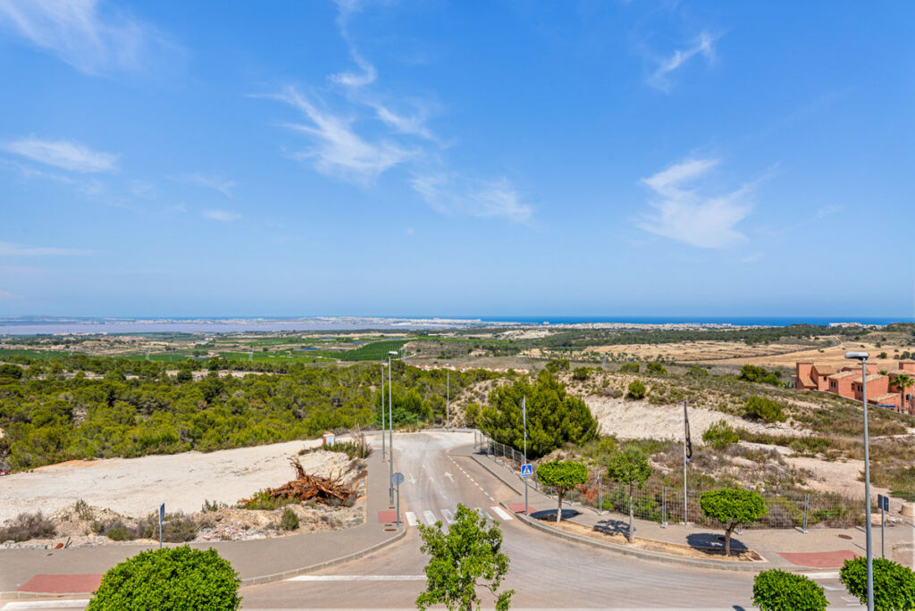 Detached Villa San Miguel de Salinas Alicante - imagen 46