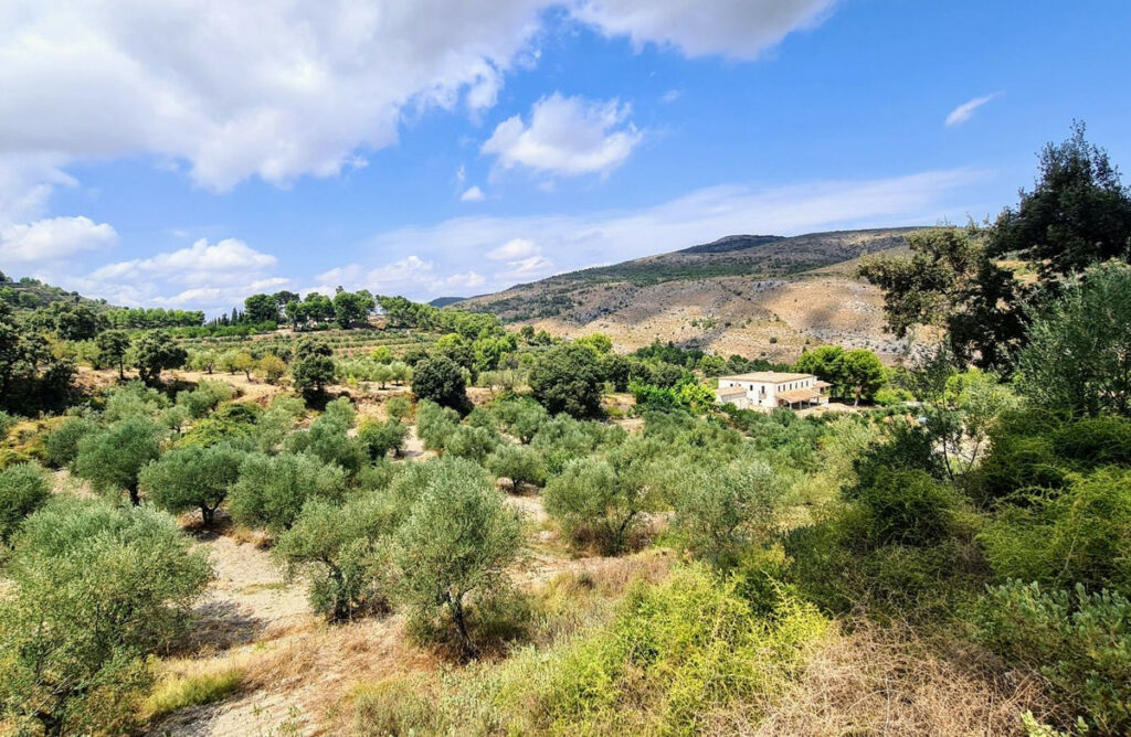 Finca - Cortijo Muro de Alcoy Alicante - imagen 8