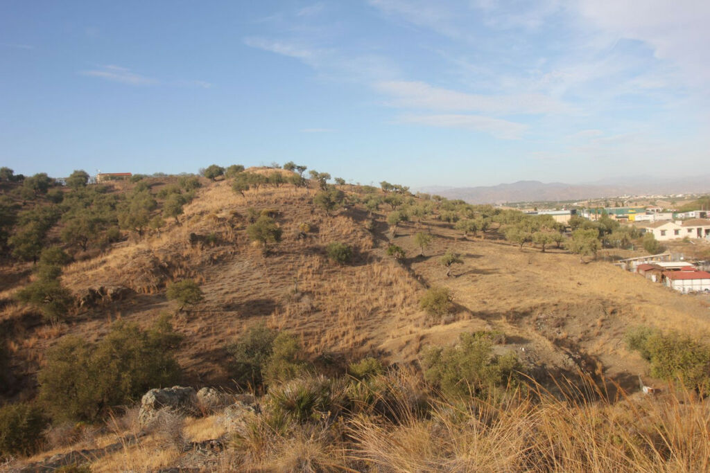 Land Coín Málaga - imagen 8
