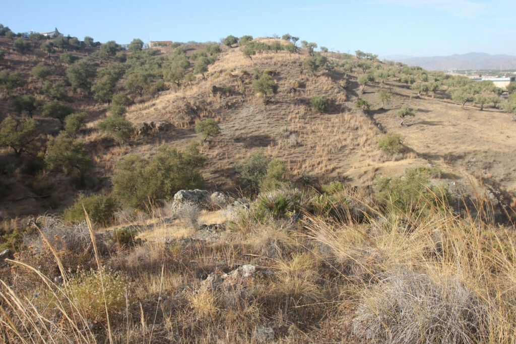 Land Coín Málaga - imagen 9