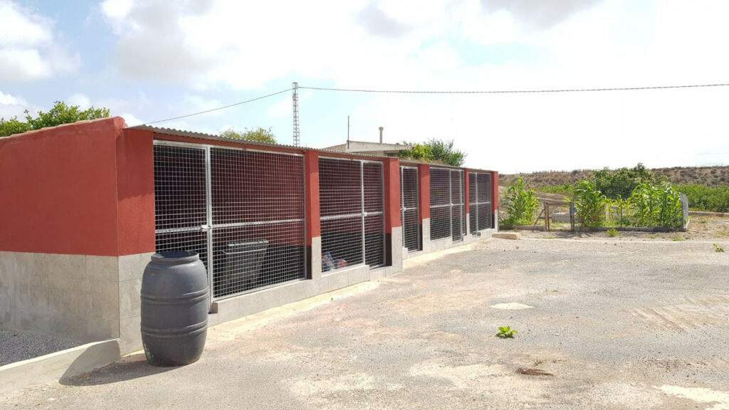 Finca - Cortijo Los Montesinos Alicante - zdjęcie 12