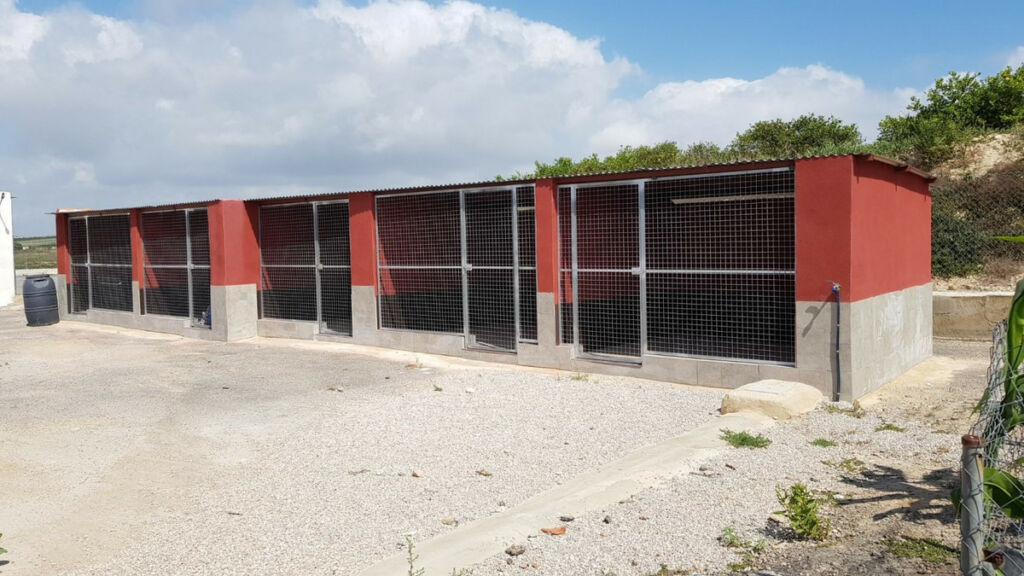Finca - Cortijo Los Montesinos Alicante - zdjęcie 15