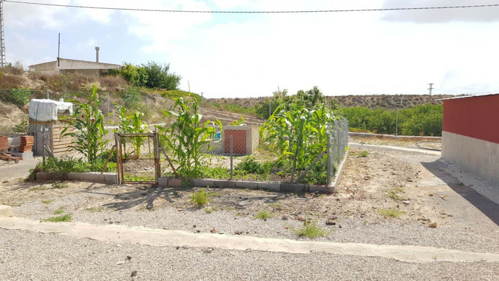 Finca - Cortijo Los Montesinos Alicante - zdjęcie 18