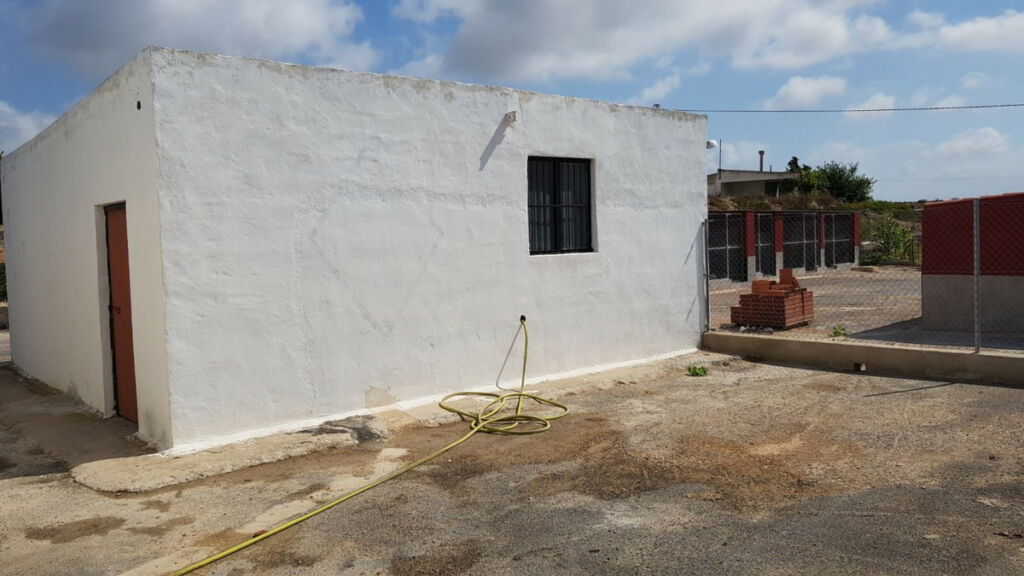 Finca - Cortijo Los Montesinos Alicante - zdjęcie 19