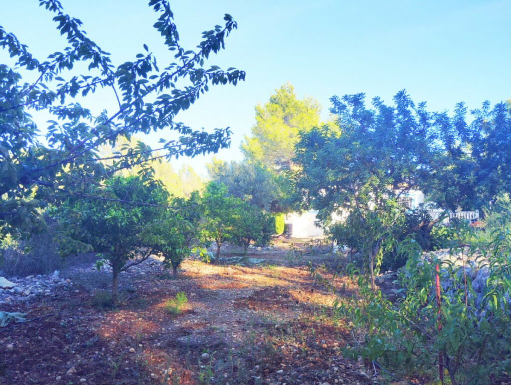 Detached Villa Parcent Alicante - imagen 28