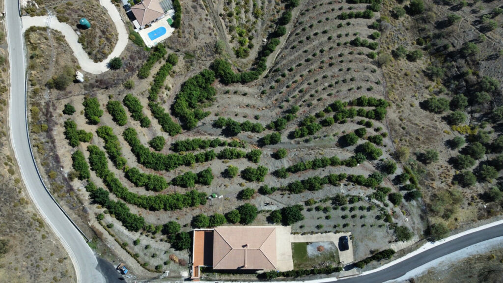 Detached Villa Sedella Málaga - imagen 3