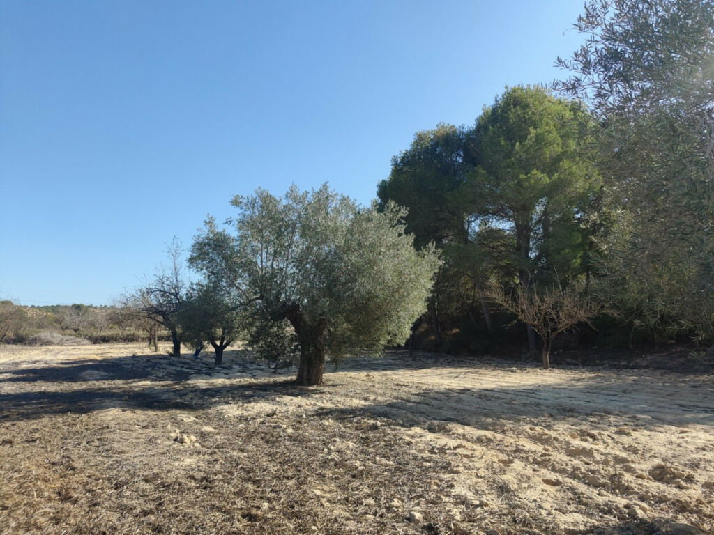 Residential Plot Torremendo Alicante - zdjęcie 3