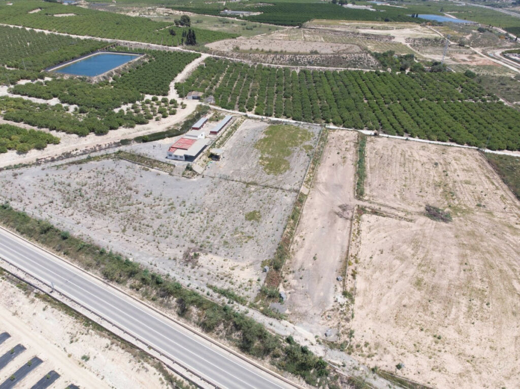 Finca - Cortijo Los Montesinos Alicante - zdjęcie 3