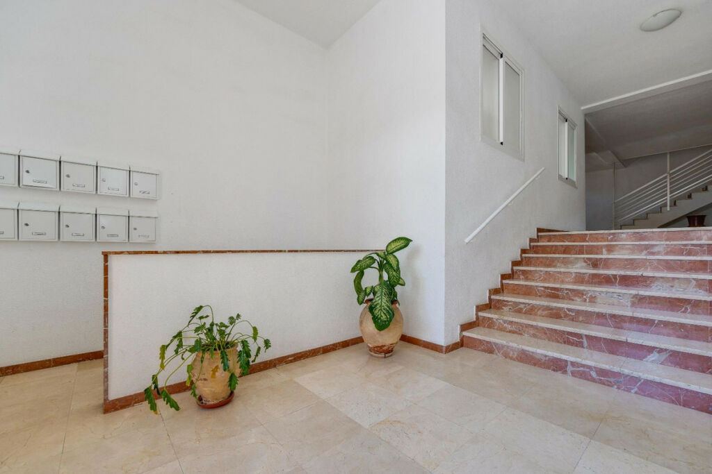 Ground Floor Apartment San Pedro del Pinatar Murcia - imagen 30